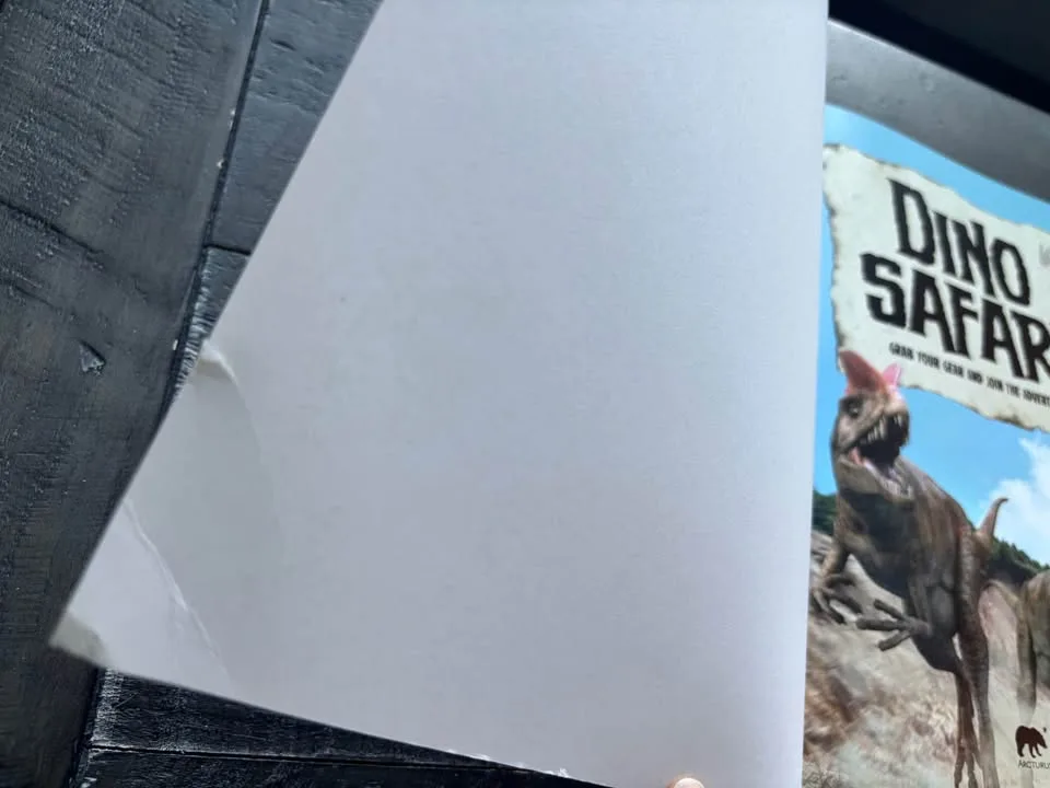 2 dinosaur books for kids image indicator(4)