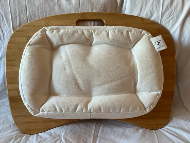 Lap desk/tray w handle and removable cushion image indicator(2)