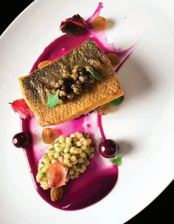 Deconstructing the Dish image indicator(3)