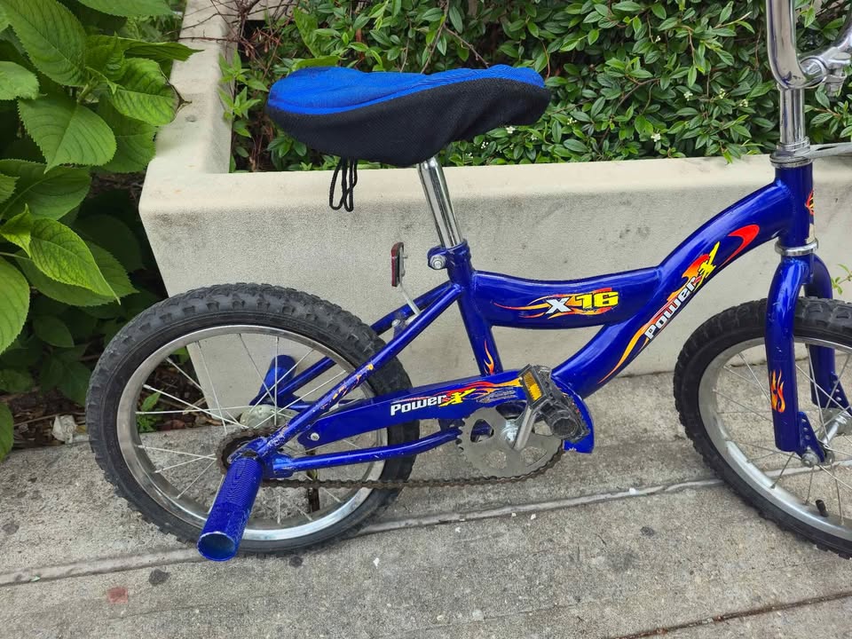Power X16 Bicycle 16 inch - photo 2