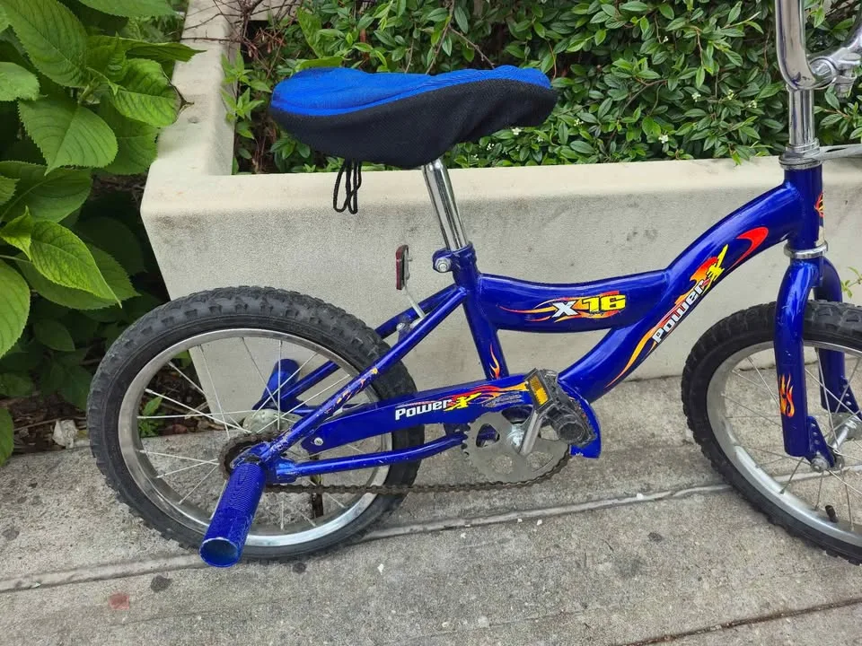 Power X16 Bicycle 16 inch image indicator(2)