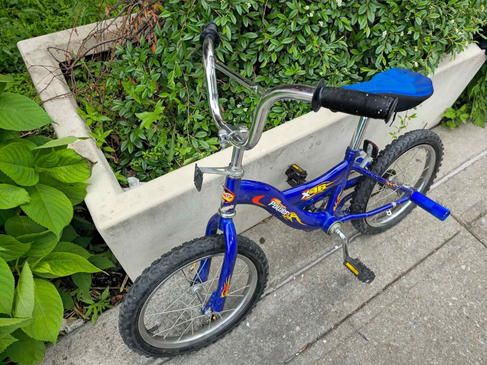 Power X16 Bicycle 16 inch - photo 4