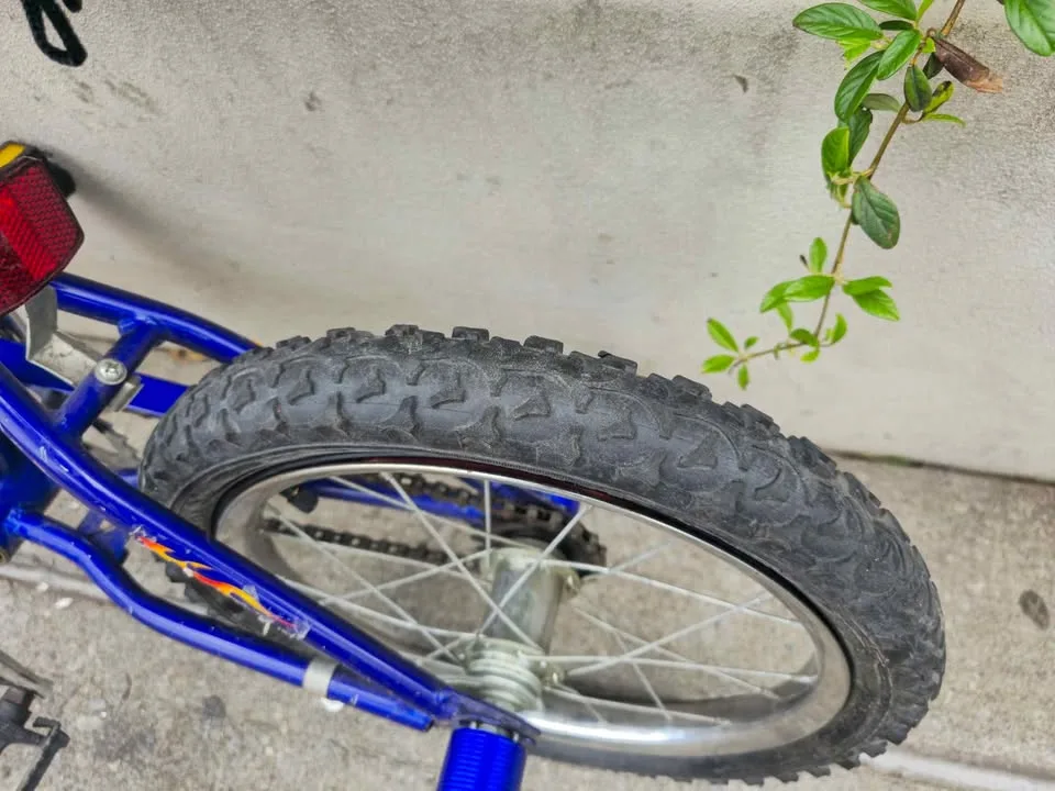 Power X16 Bicycle 16 inch image indicator(6)