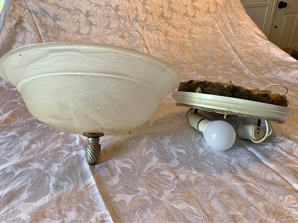 Ceiling lights