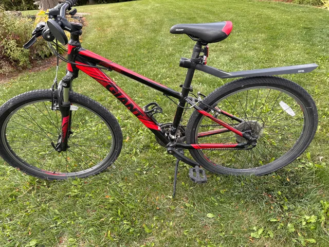 Giant Revel Trick Bike Youth thumbnail