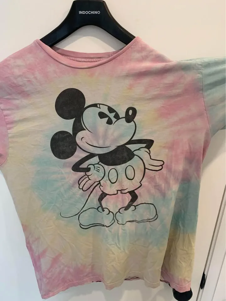 Large Mickey Mouse image indicator(2)