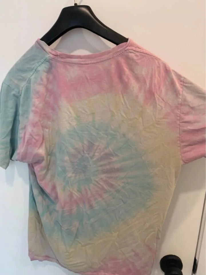 Large Mickey Mouse image indicator(3)