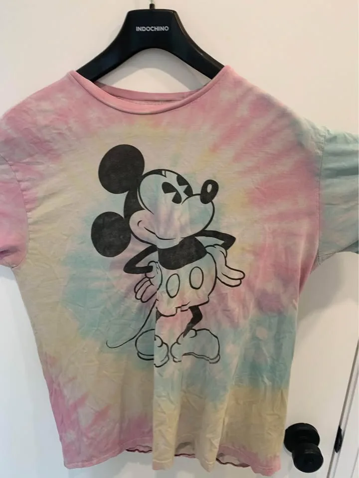 Large Mickey Mouse image indicator(4)