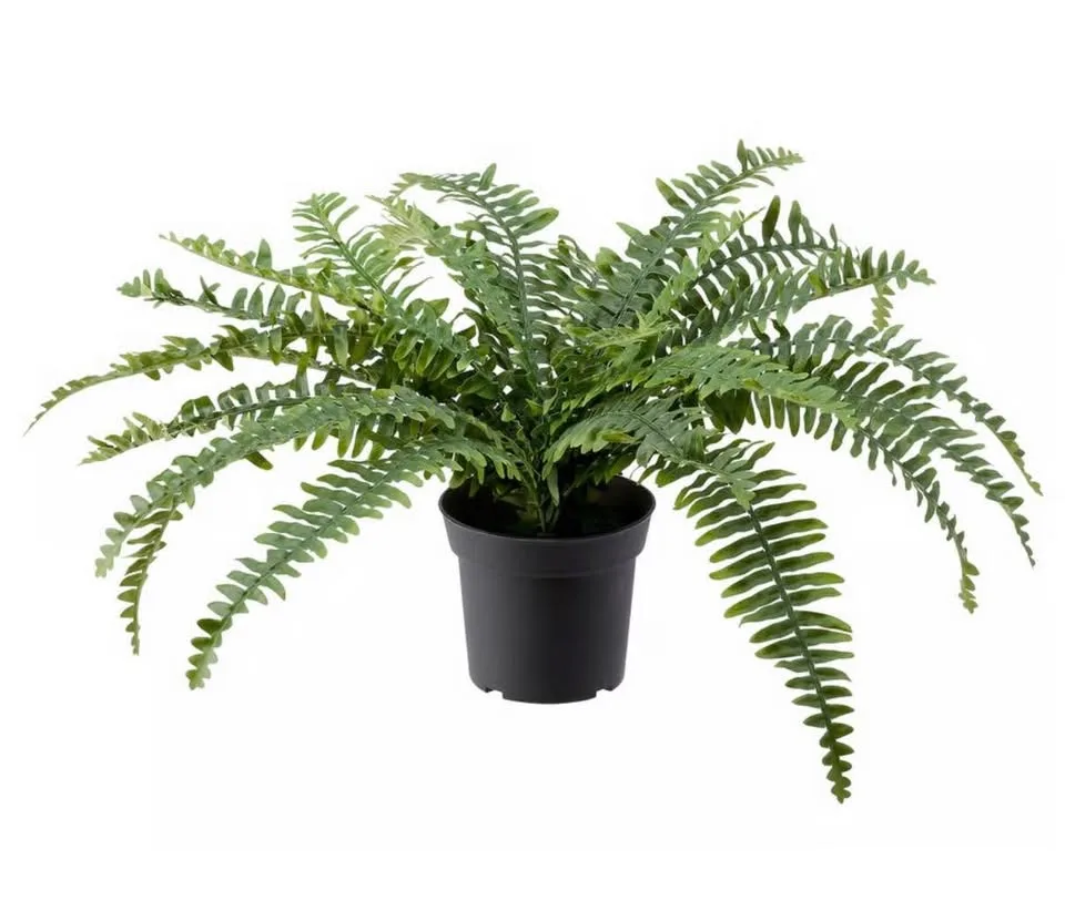 IKEA FEJKA Artificial Fern – Discontinued in Canada, Like New image indicator(2)