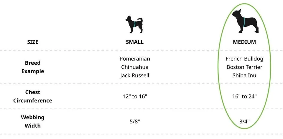 Woof Concept Dog Harness + Leash Set – “Apex 2” Print image indicator(3)