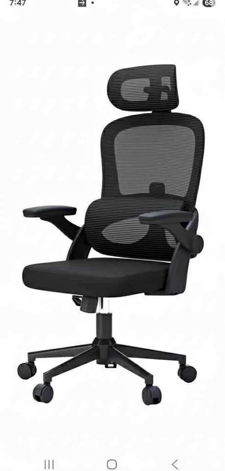Ergonomic Mesh Office Chair, High Back Desk Chair