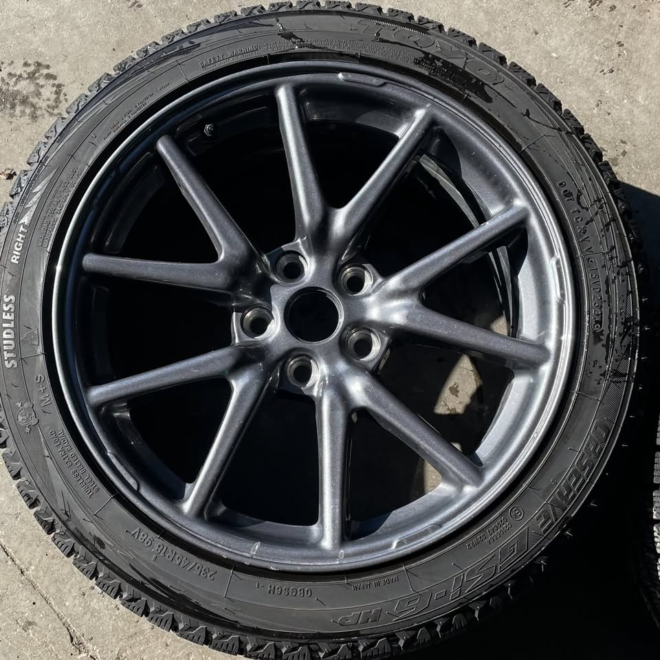 18 INCH TELSA 3 WINTER PACKAGE - photo 5