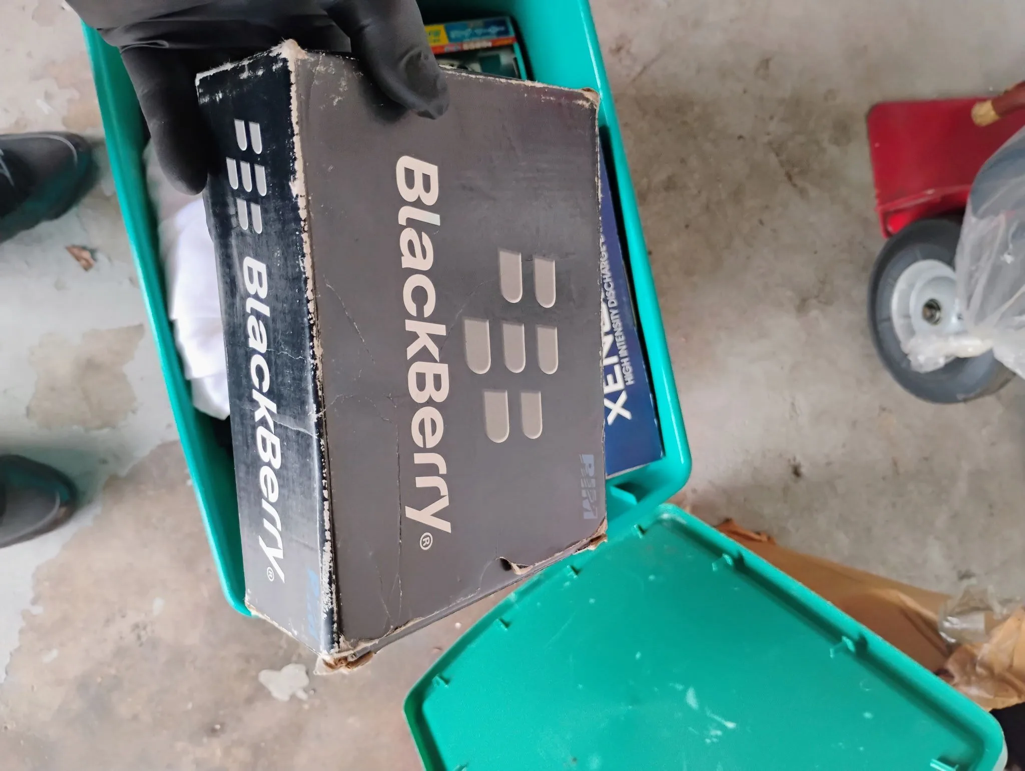 Blackberry thumbnail