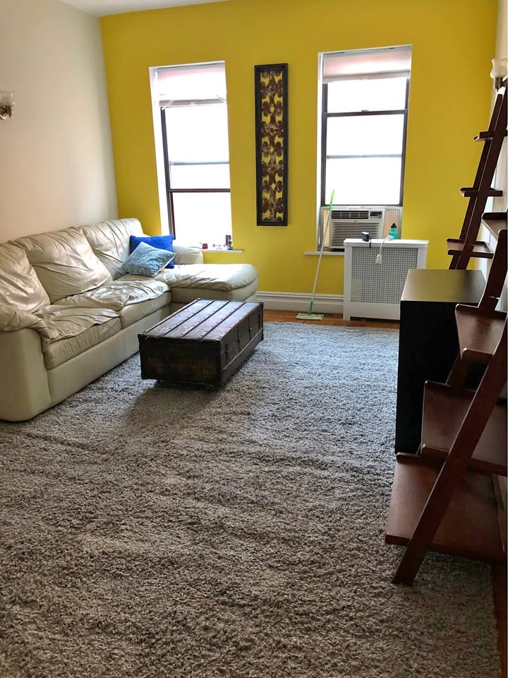 Safavieh grey shag rug