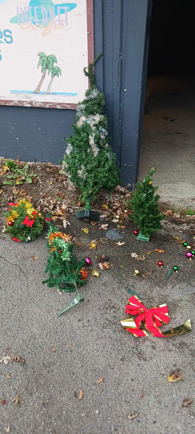 Christmas Trees thumbnail