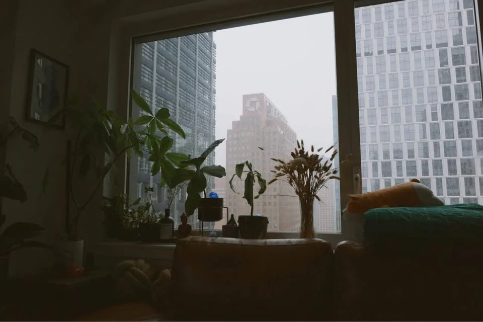 Canon EOS Rebel SL1 DSLR Camera Starter Kit image indicator(6)