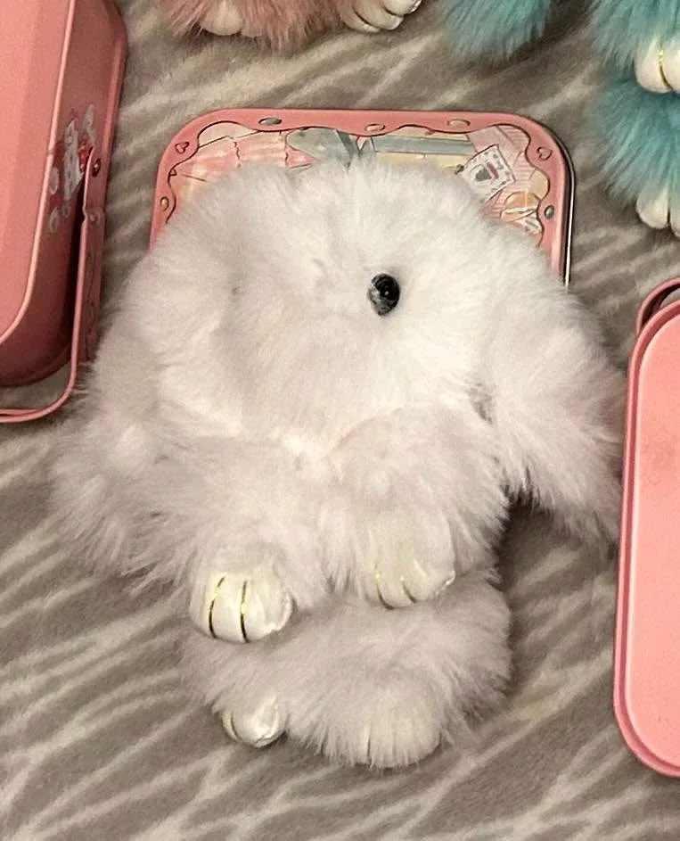 🤩 Faux Fur Bunnies w/Tin image indicator(3)