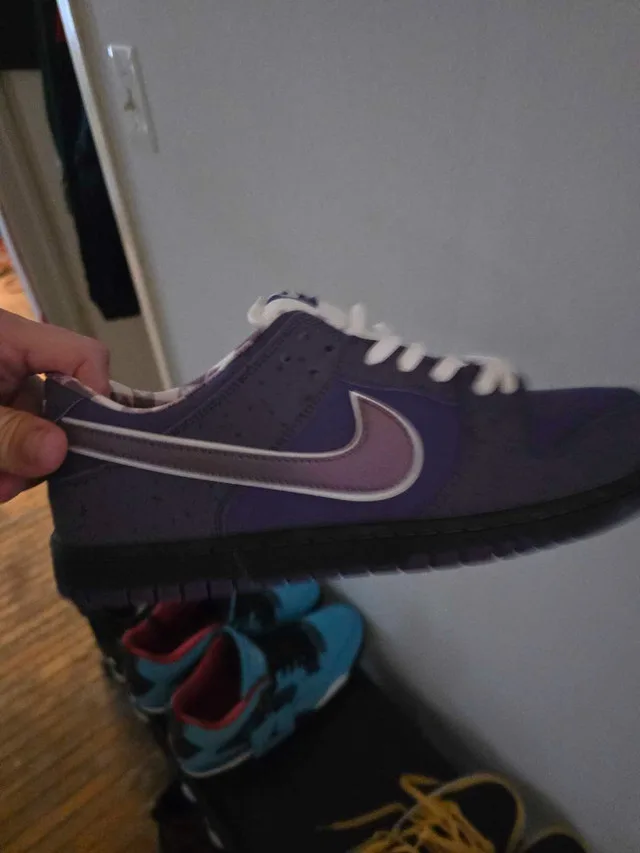 mens SB Dunk Reps size 13 image indicator(3)