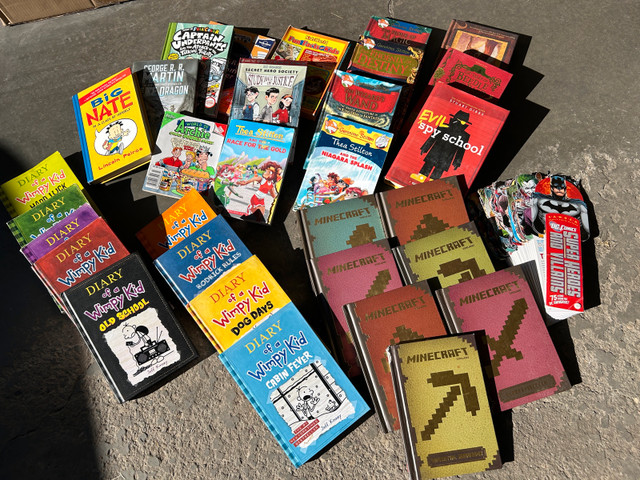 Kids Books Lot - Diary of a Wimpy Kid, Minecraft, More!