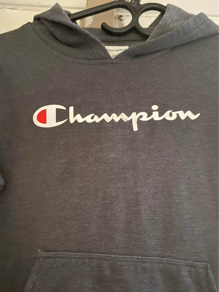 Champion Womens Powerblend Relaxed Hoodie, Script logo - photo 5
