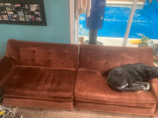 Stunning vintage 1950’s, reupholstered in the 70’s extra long - photo 4