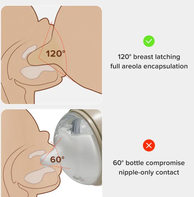 Thyseed Silicone Baby Bottle! 3-7 Months! image indicator(2)