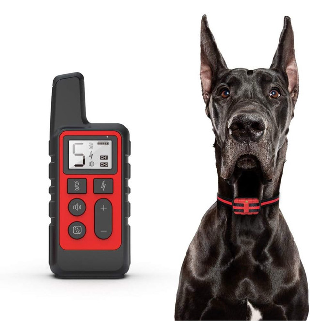 Dog Training Collar