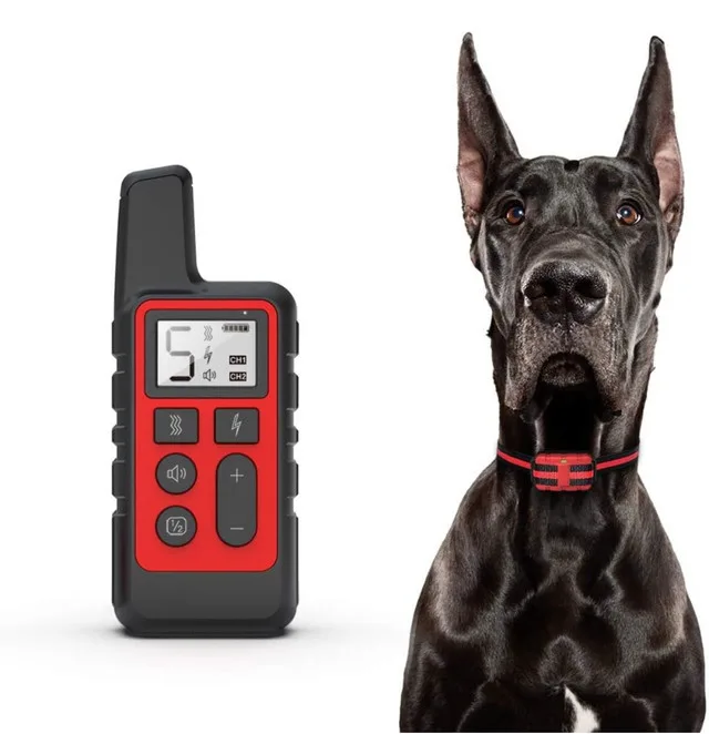 Dog Training Collar thumbnail