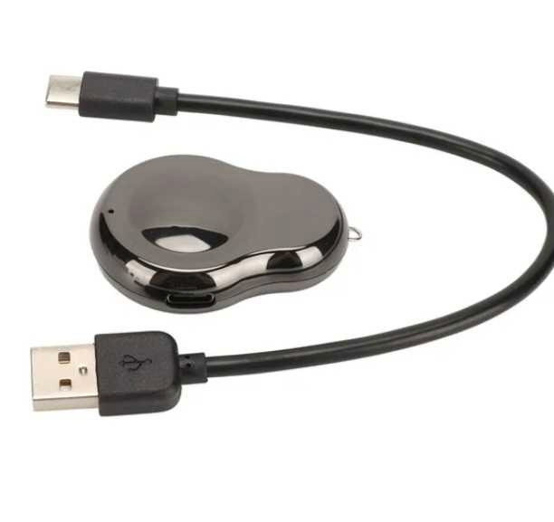 VIDEO VOICE RECORDER - photo 2
