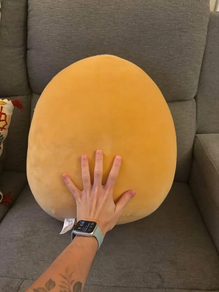 16” Large Donut Squishmallow image indicator(3)