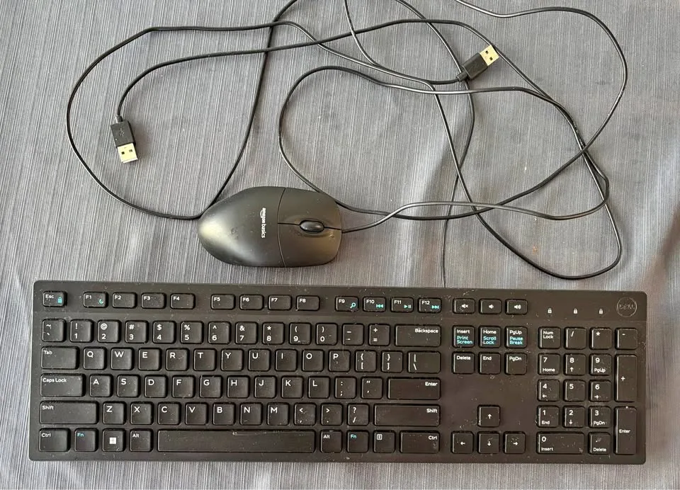 Dell Keyboard and Amazon Basics Mouse