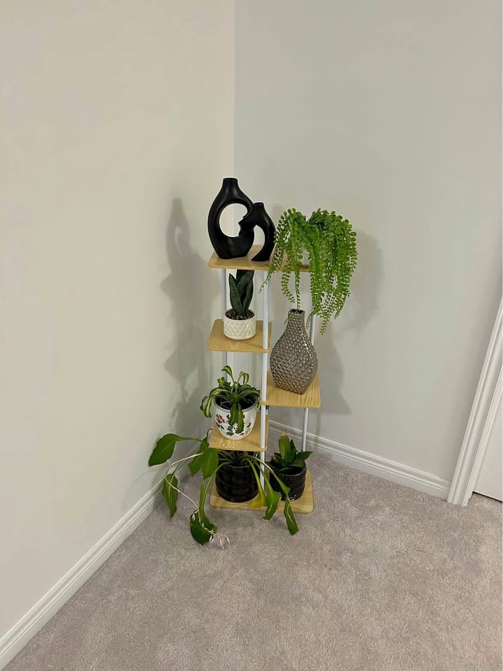 New - Bamyworld Plant Stand