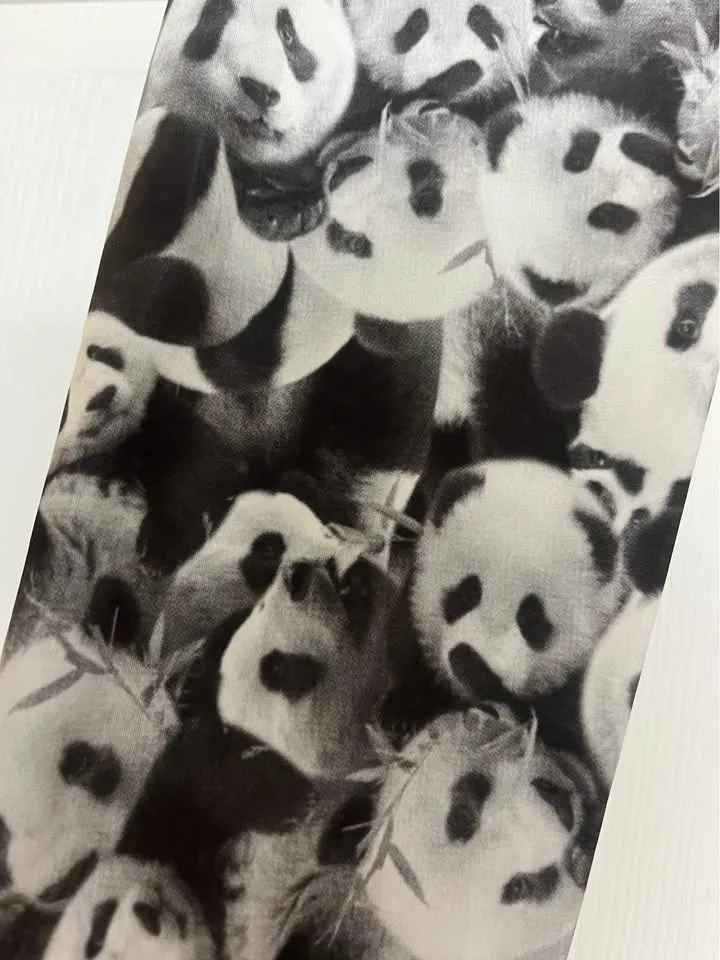 🐼 Panda Leggings 🐼 image indicator(2)