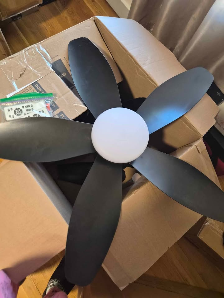 Ceiling Fan with Light and Remote - photo 2