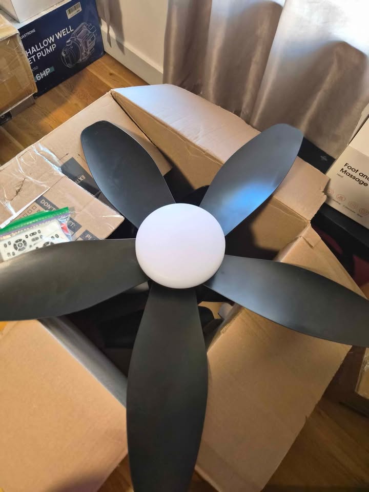 Ceiling Fan with Light and Remote - photo 3