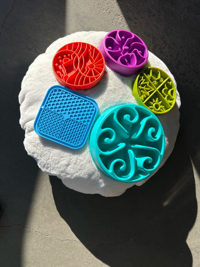 dog slow feeders and cushion