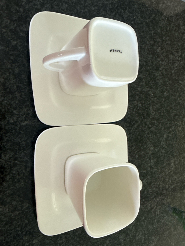 TanneX Cup and Saucer