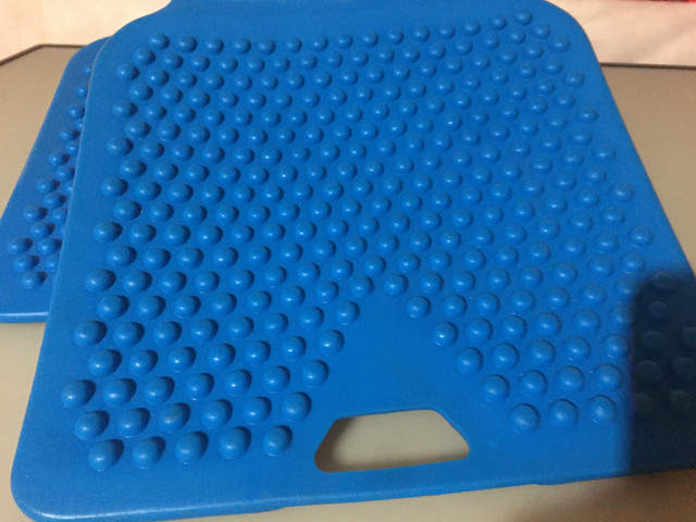 A Pair of Balance Cushions