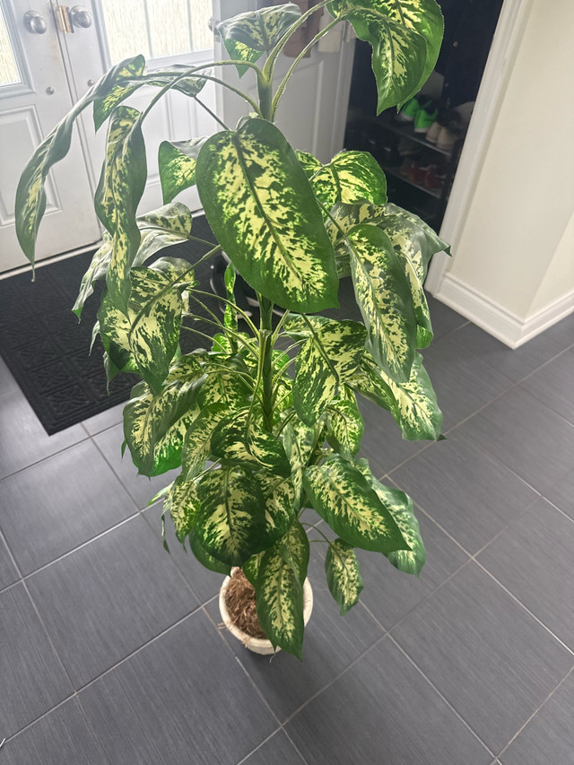 Fake Decorative Plant