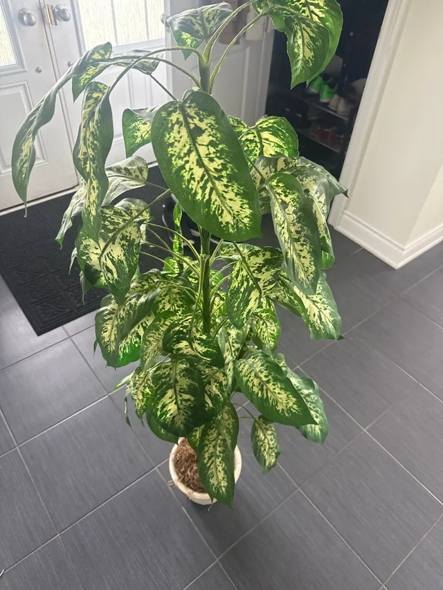 Fake Decorative Plant thumbnail