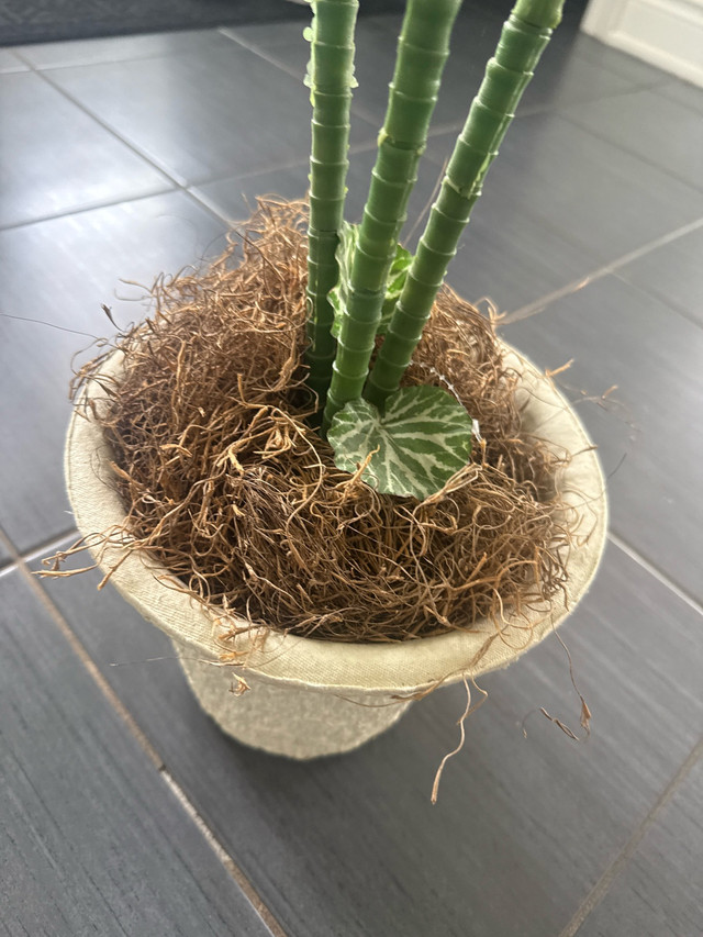 Fake Decorative Plant - photo 2