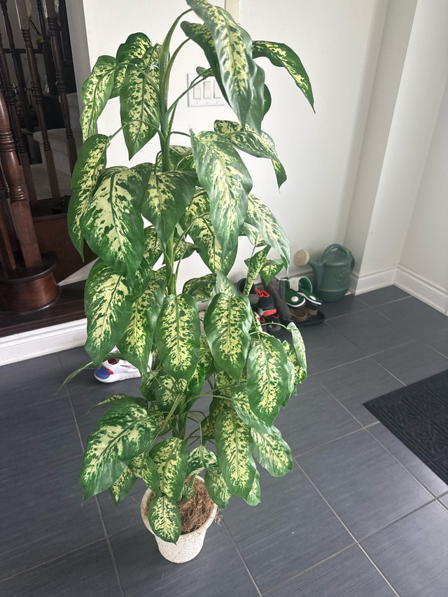 Fake Decorative Plant - photo 3