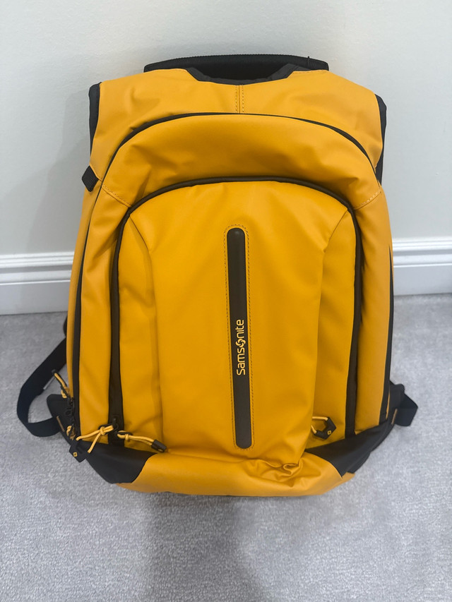 Samsonite Ecodiver Backpack