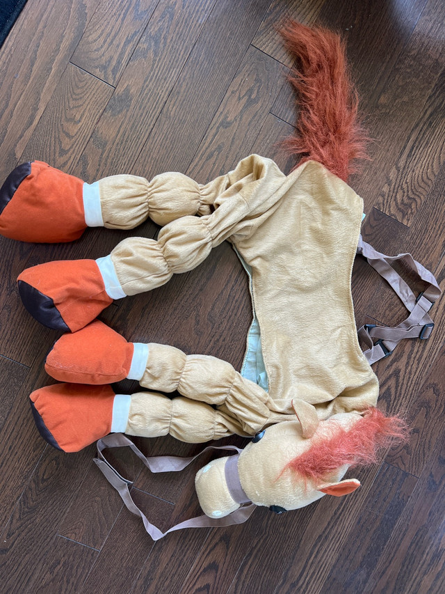 Kids Step in Ride on Horse Costume