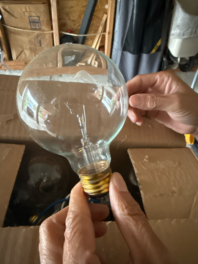 light bulbs (each)