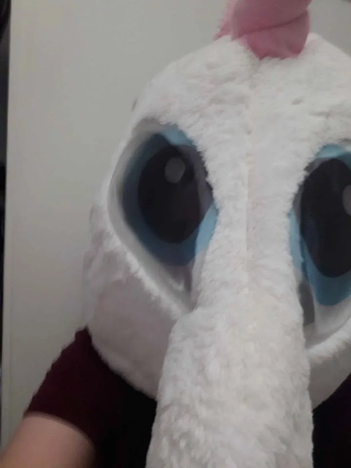 Unicorn face mask image indicator(5)