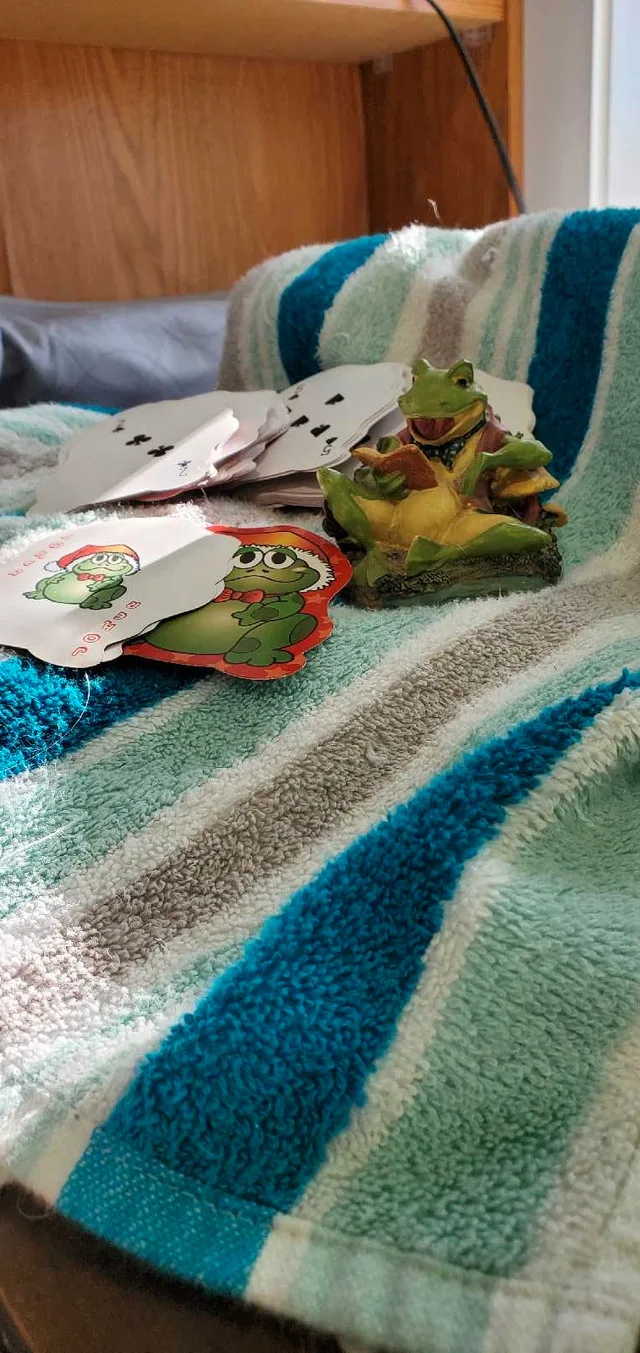 FREE Frog And Cards image indicator(2)