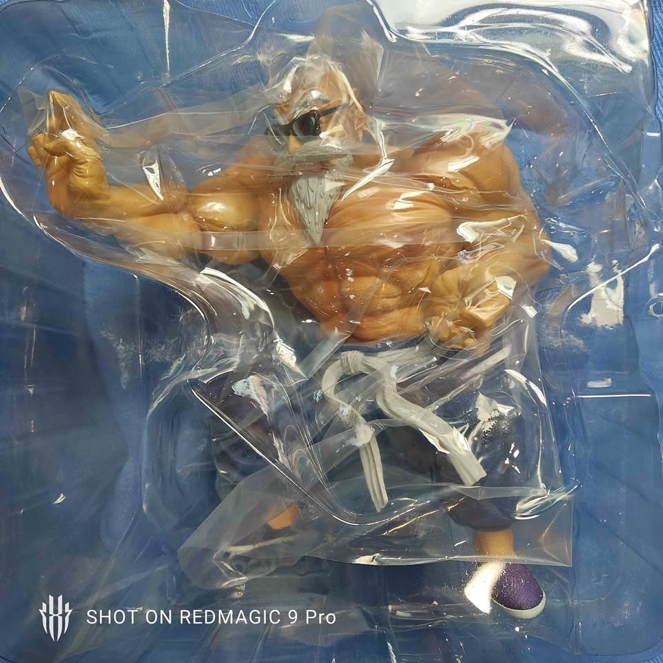 Dragon Ball - Kamesennin Statue