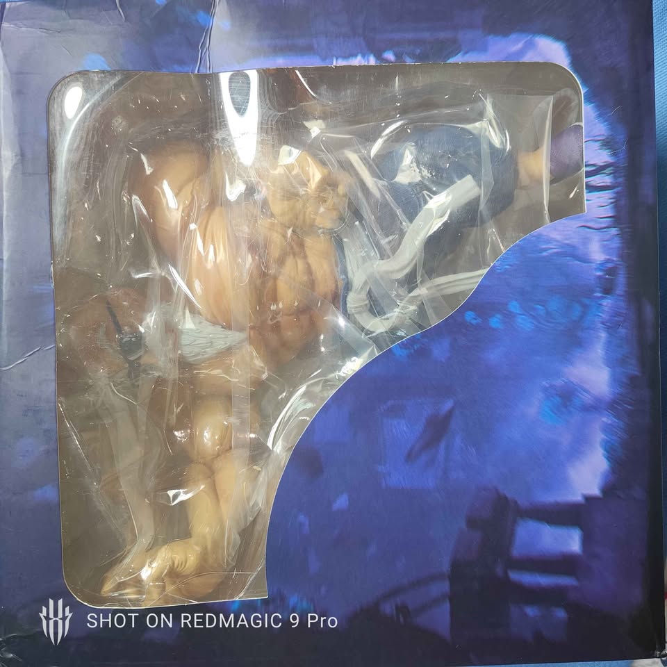 Dragon Ball - Kamesennin Statue - photo 2