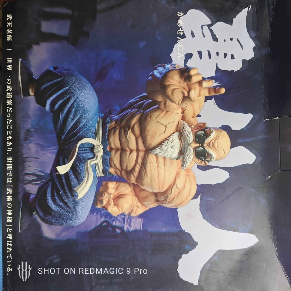 Dragon Ball - Kamesennin Statue - photo 3